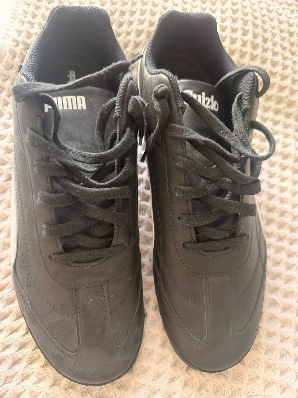 Puma guizio speedcat